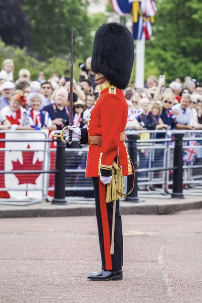 Royal guard in London