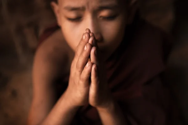 Buddhist novice monks praying in temple