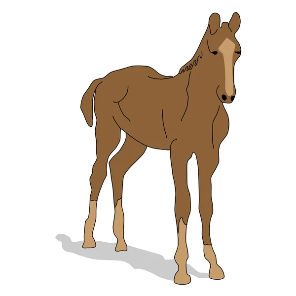 Animal - horse sign