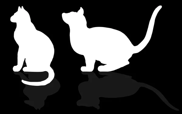 Animals - Cats silhouettes