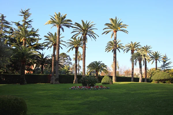 Mediterranean Palm Garden