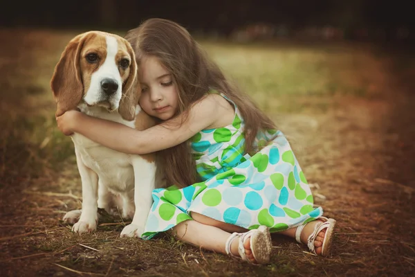 Little girl with dog beagle
