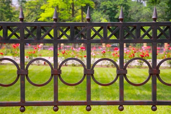 Fence in the park