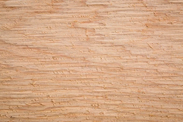 Cedar wood texture close up