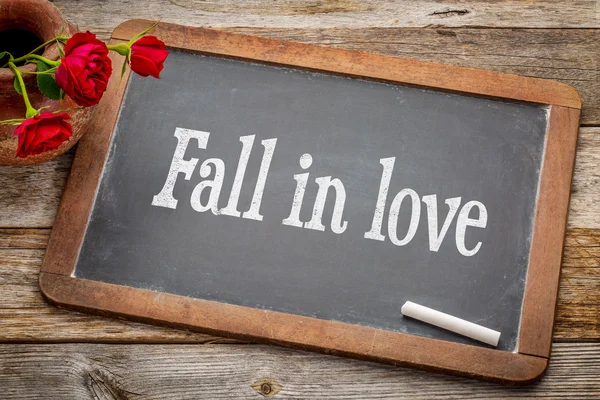 Fall in love advice  on blackboard