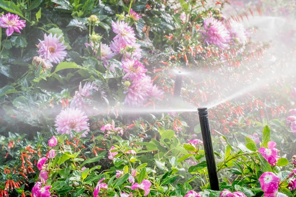 Water sprinkler in flower garden