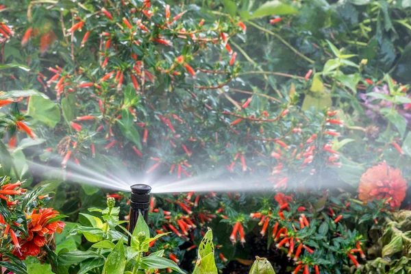 Water sprinkler in flower garden