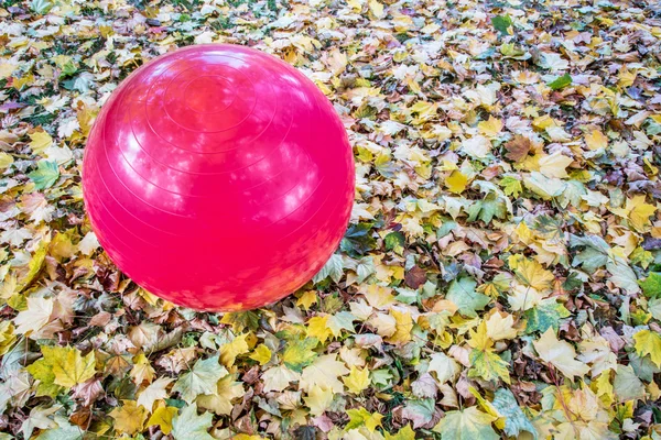Swiss exercise ball outdoors
