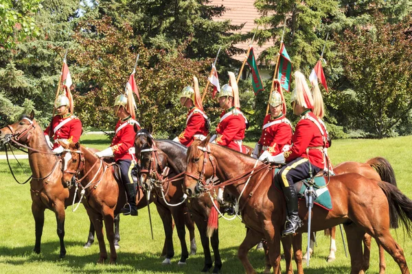 Royal Canadians Mounted Regiment