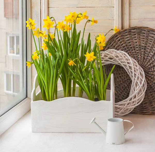 Yellow daffodils in balcony boxes