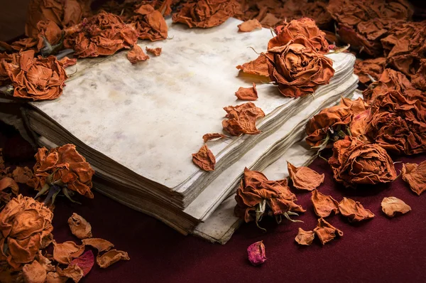 Background in retro style. Dry roses scattered on old book