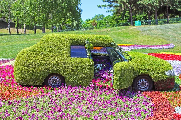 Flower cars exhibition at Spivoche Pole in Kyiv, Ukraine