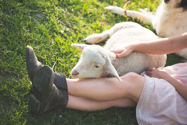 Close up image of cute, young lamb taking care by farmer woman. Happy woman smiling and holding a cute lamb.