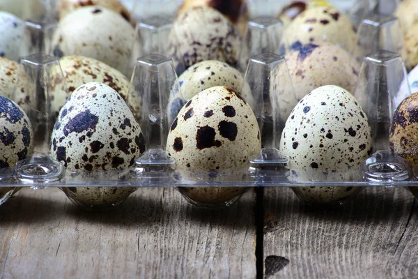 Quail eggs in a plastic tray , close-up