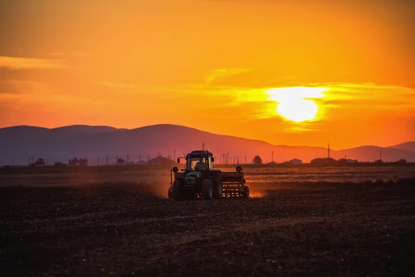 Beautiful sunset, farmer in tractor preparing land with seedbed