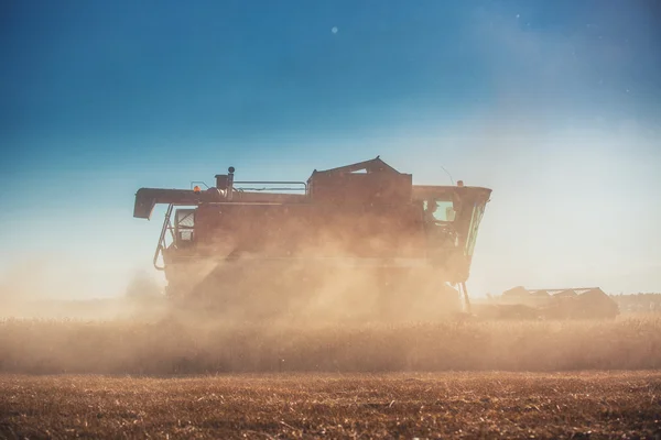 Combine harvester agriculture machine harvesting golden ripe whe