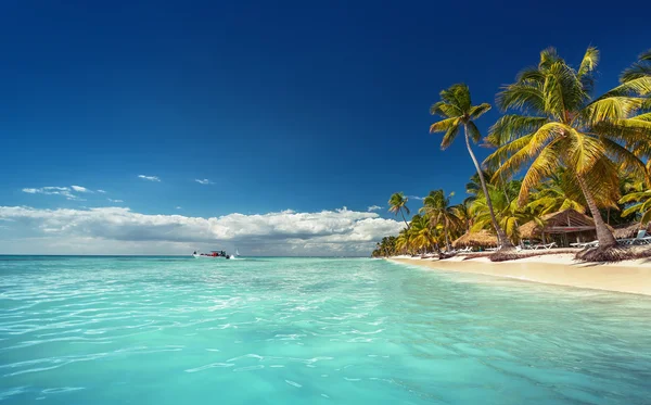 Landscape of paradise tropical island beach with perfect sunny sky