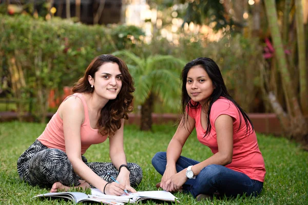 Two girls studying sit grass