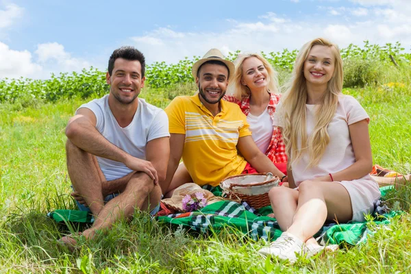 Friends picnic people group sitting blanket outdoor green grass
