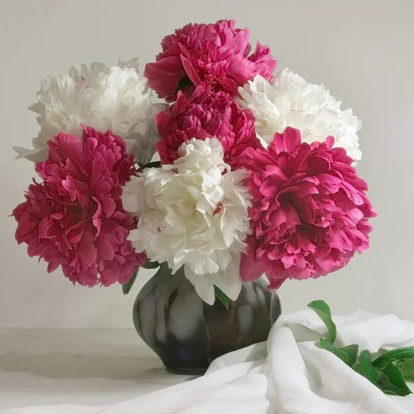 White and pink peonies still life