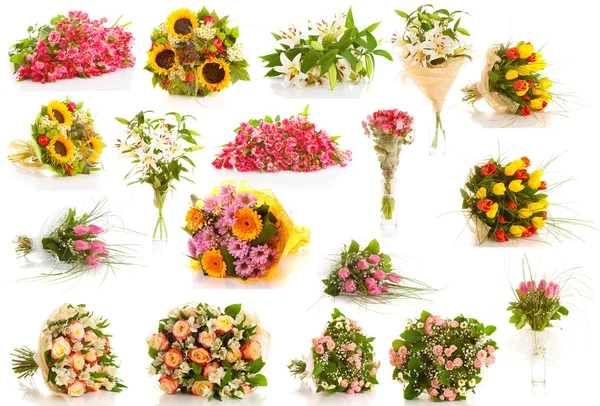 Set  flowers isolated