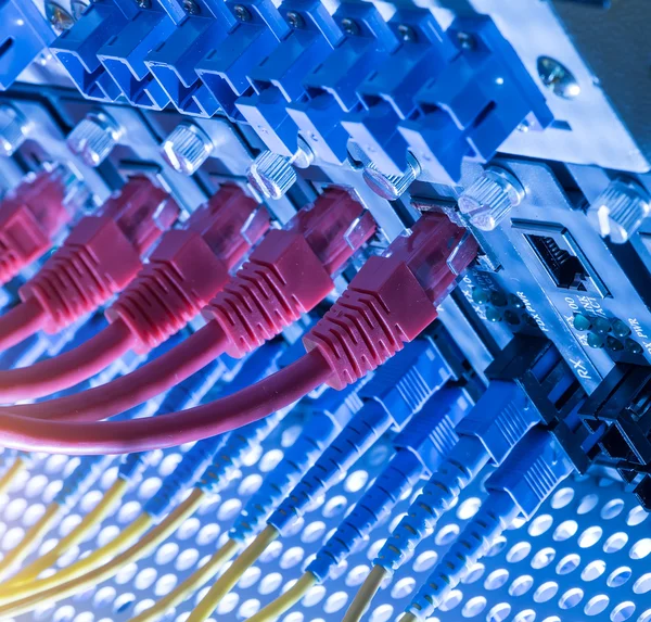 Fiber Optic cables connected to an optic ports and Network cable