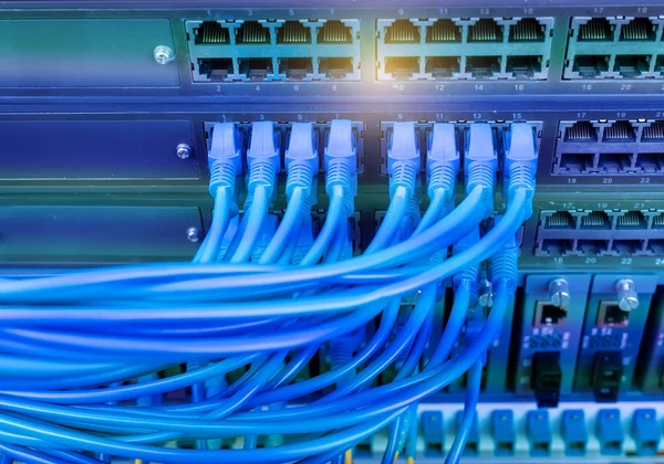Network cables connected in network switches