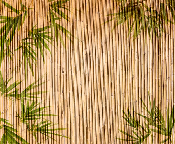 Bamboo Background great for any project. frame of bamboo-leaves