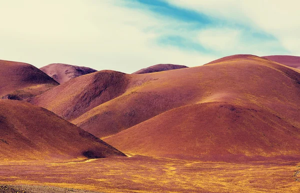 Landscape of Northern Argentina