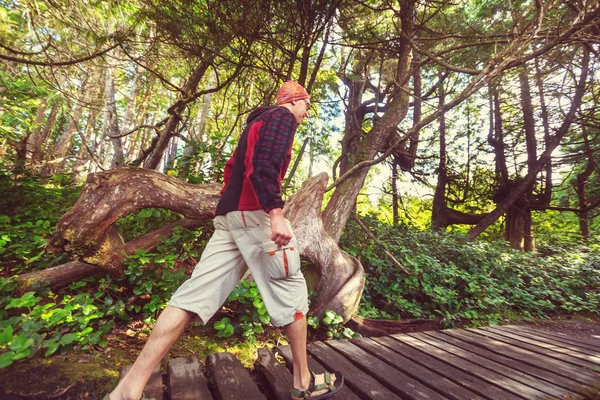 Hiking man walking on wooden path