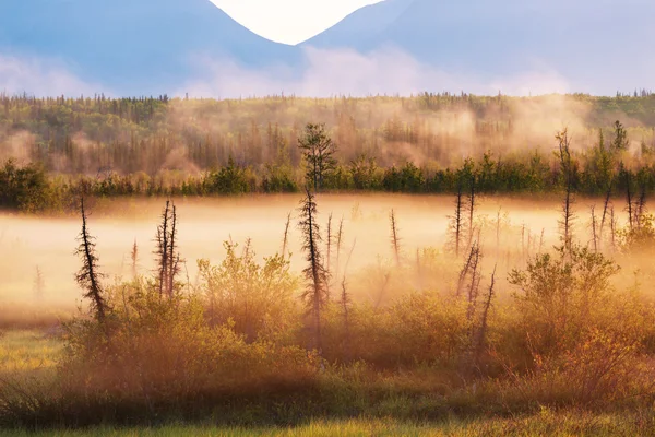 Misty mountains at sunrise