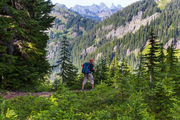 Backpacker in summer mountains