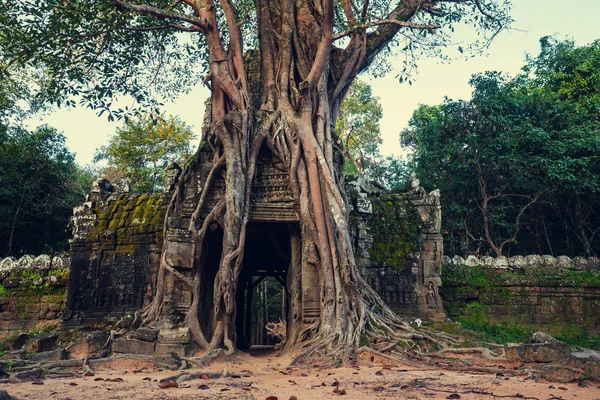 Ancient Khmer civilization ruins