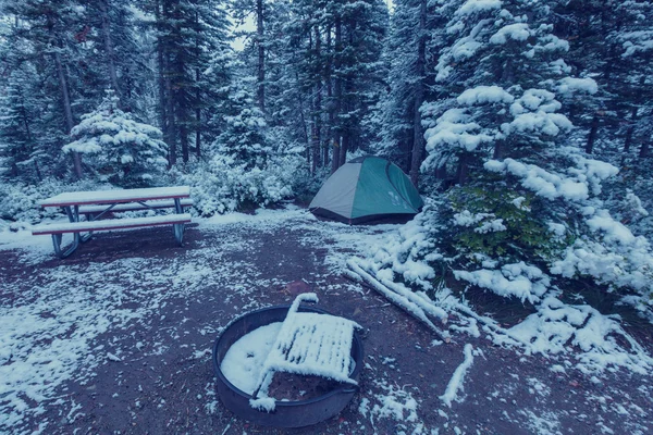 Tent in winter forest