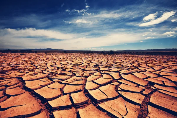 Dry land in desert