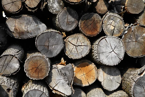 Background of firewood stacked in the woodpile