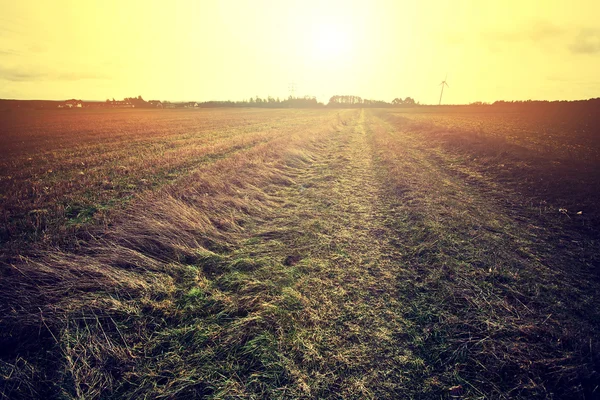 Country field and bright sun.