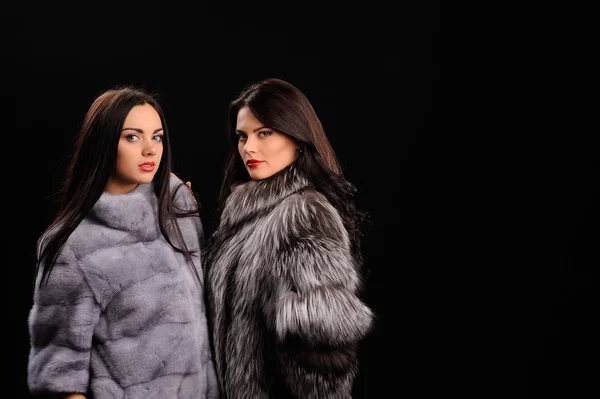 Beauty Fashion Model Girls in Blue Mink Fur Coat