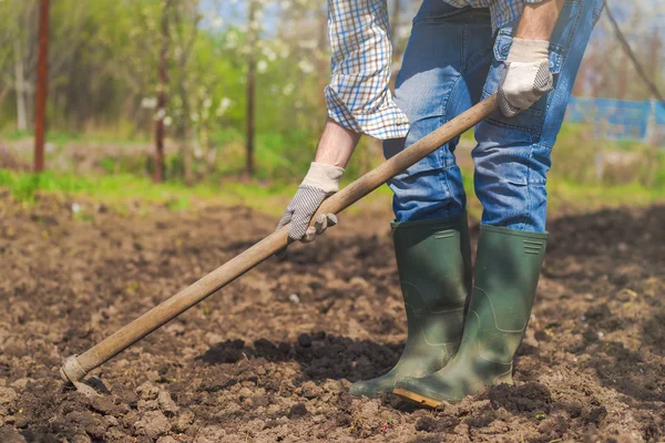 Man hoeing vegetable garden soil