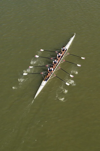 Four men rowing on Danube river