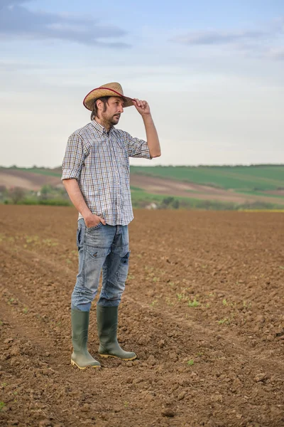 Male Farmer Standing on Fertile Agricultural Farm Land Soil