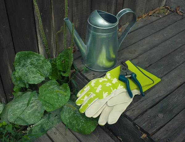 Garden still-life with watering-can and gloves