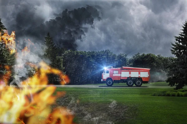 Fire-engine in hurry in the forest
