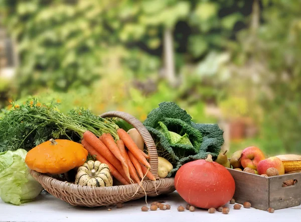 Vegetables and fruit in garden