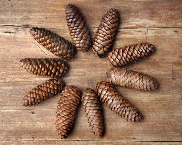 Pine cones flower shape