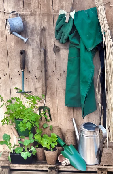 Rustic gardening