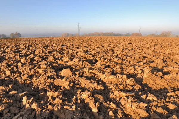 Plowed field under sun