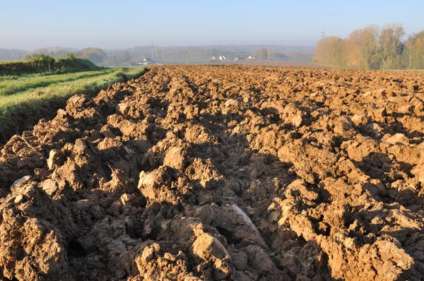 Plowed field under sun