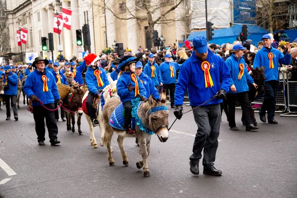 New years day parade, london, 2015