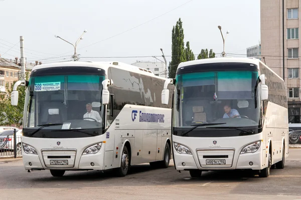 Buses Higer A80